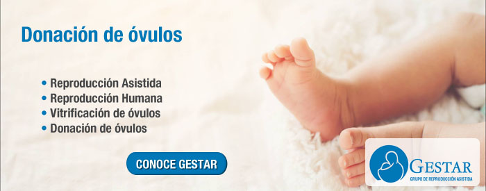vender ovulos en argentina, donacion de ovulos procedimiento, donacion de ovulos riesgos, donar ovulos es peligroso